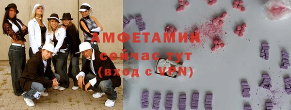 ECSTASY Богданович