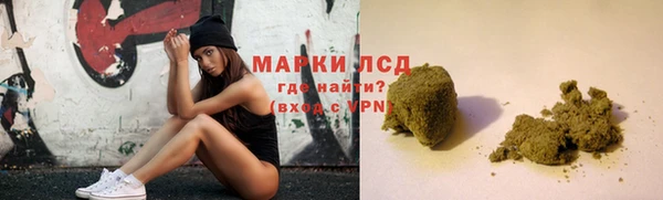 ECSTASY Богданович