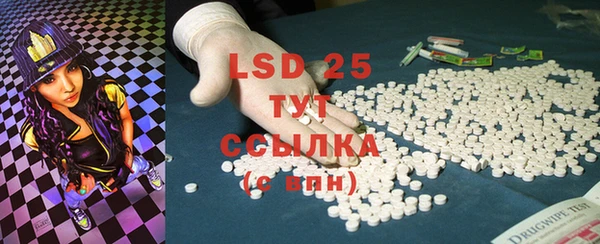 ECSTASY Богданович