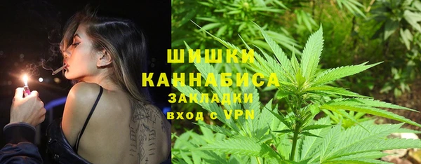 ECSTASY Богданович