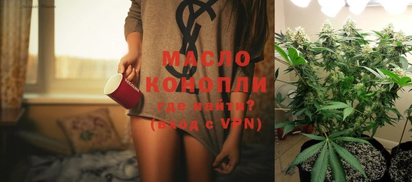 ECSTASY Богданович