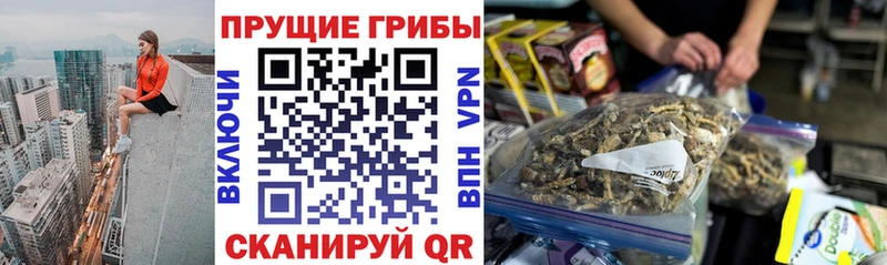 Купить закладки  Усинск  Псилоцибиновые грибы Psilocybe 